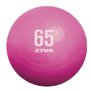 ZIVA Chic Fitball 55 cm Rosa